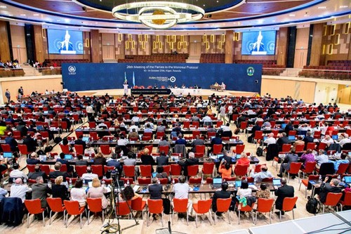 Почти 200 стран на переговорах в Руанде решили сократить выбросы парниковых газов - ảnh 1